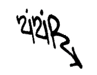 Zizir Tag