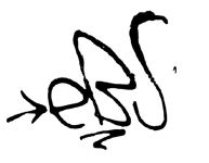 Blast Tag